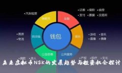 未来虚拟币NSK的发展趋势