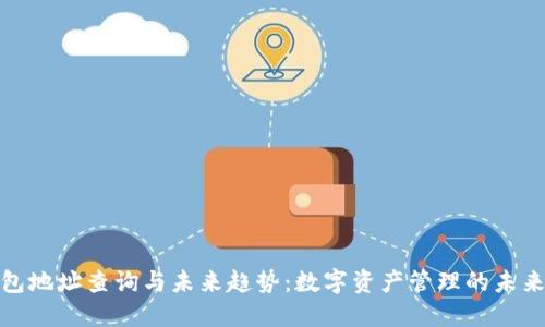 TP钱包地址查询与未来趋势：数字资产管理的未来之路