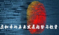 CBE虚拟币的未来发展趋势