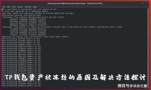 TP钱包资产被冻结的原因及解决方法探讨