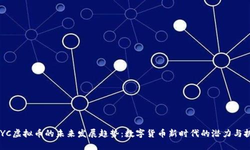 PAYC虚拟币的未来发展趋势：数字货币新时代的潜力与挑战