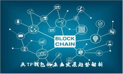 天TP钱包的未来发展趋势解析
