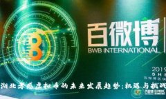 湖北孝感虚拟币的未来发