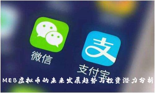 MEB虚拟币的未来发展趋势与投资潜力分析
