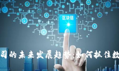 虚拟币推广公司的未来发展趋势：如何抓住数字货币的机遇