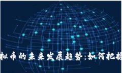 智能宝虚拟币的未来发展