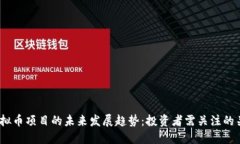 TRXM虚拟币项目的未来发展