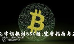 如何在TP钱包中切换到BS
