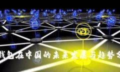 TP钱包在中国的未来发展与