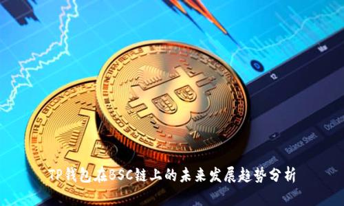 TP钱包在BSC链上的未来发展趋势分析