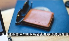 未来虚拟货币TNE币的发展