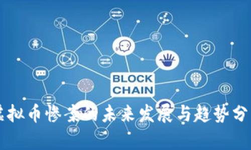 虚拟币惨案的未来发展与趋势分析