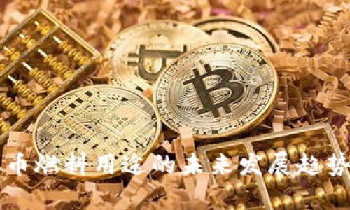 虚拟币燃料用途的未来发展趋势分析